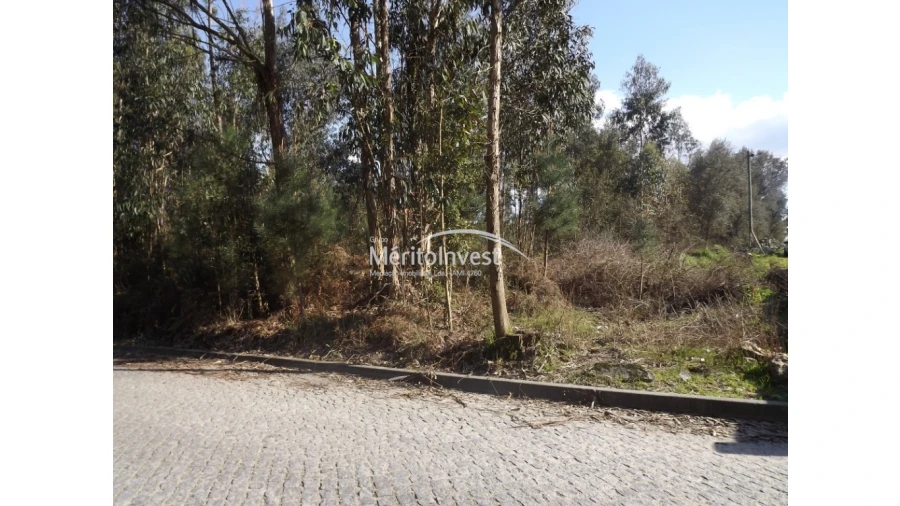Terreno para Venda em Paradela Foto 2