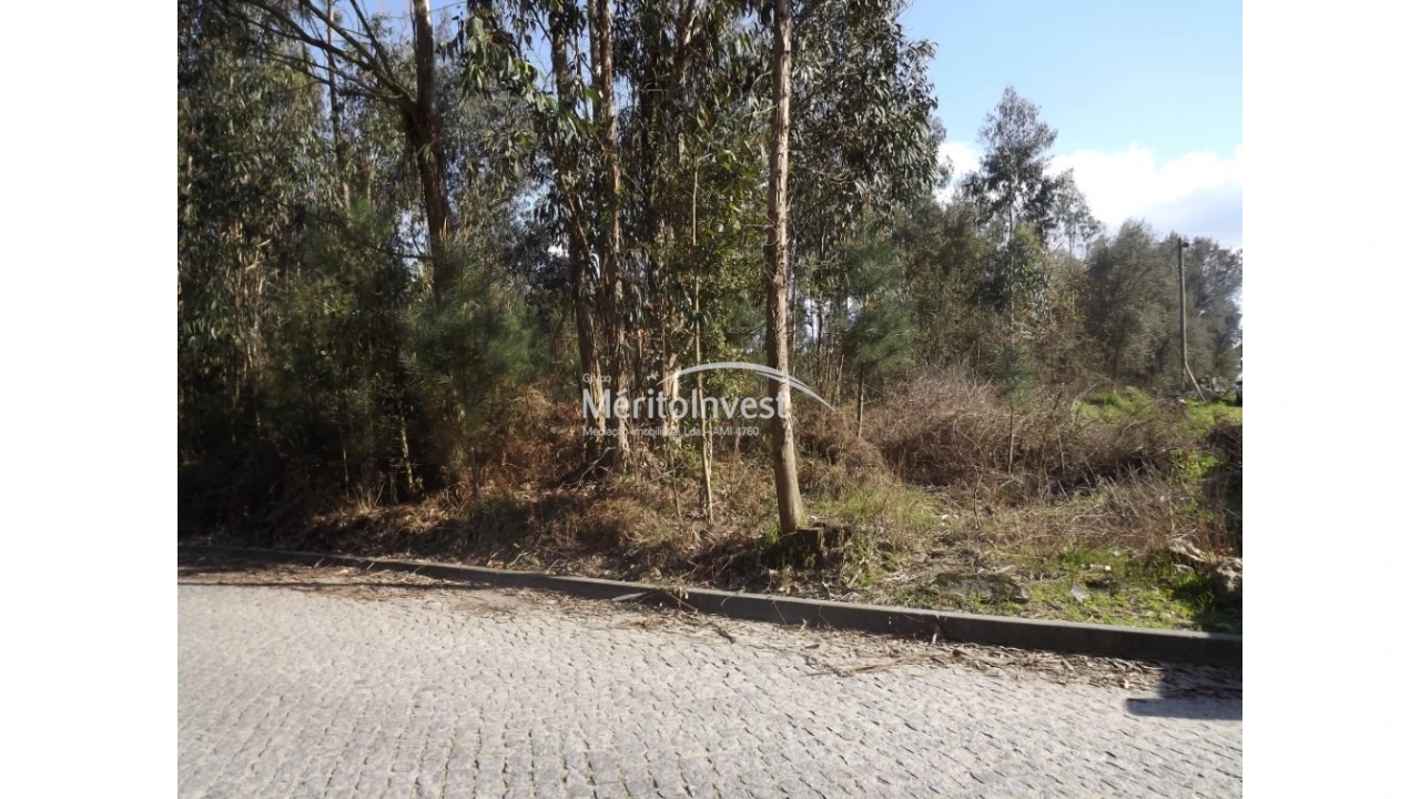 Terreno para Venda em Paradela Foto 2