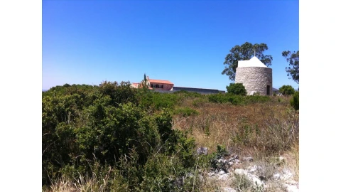 Terreno para Venda em Batalha