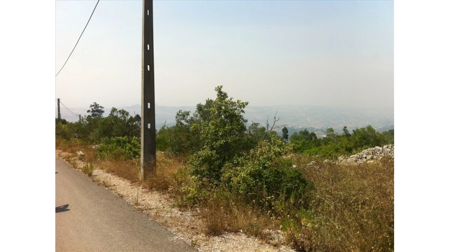 Terreno para Venda em Batalha Foto 2