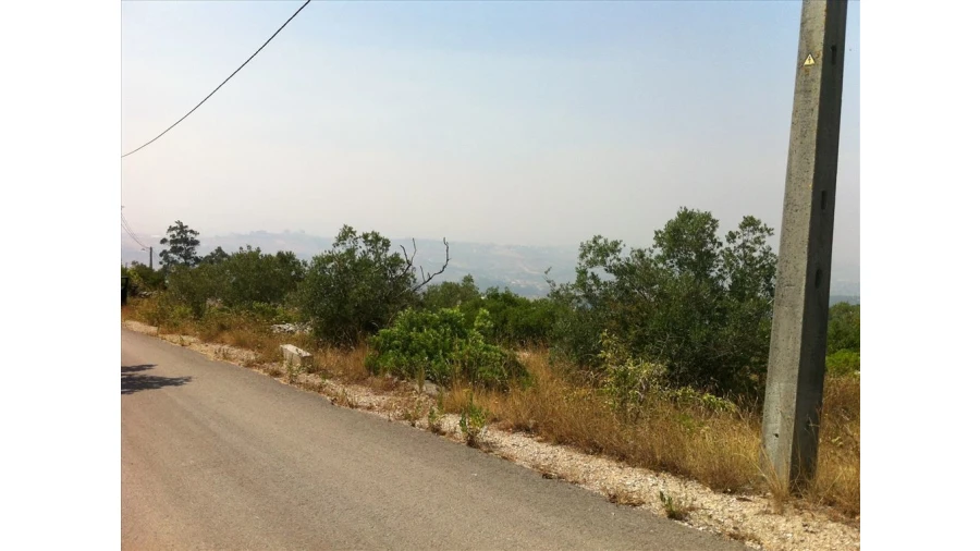 Terreno para Venda em Batalha Foto 5