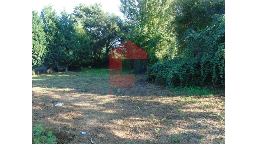 Terreno para Venda em Lage Foto 3