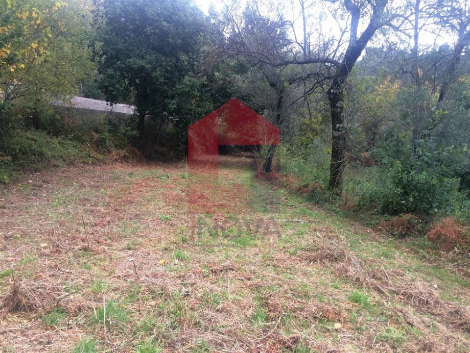 Terreno para Venda em Pico de Regalados, Gondiães e Mós Foto 4