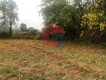 Terreno para Venda em Pico de Regalados, Gondiães e Mós