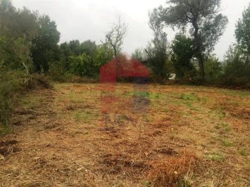 Terreno para Venda em Pico de Regalados, Gondiães e Mós