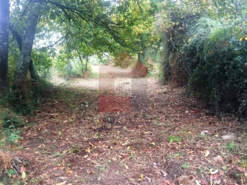 Terreno para Venda em Pico de Regalados, Gondiães e Mós