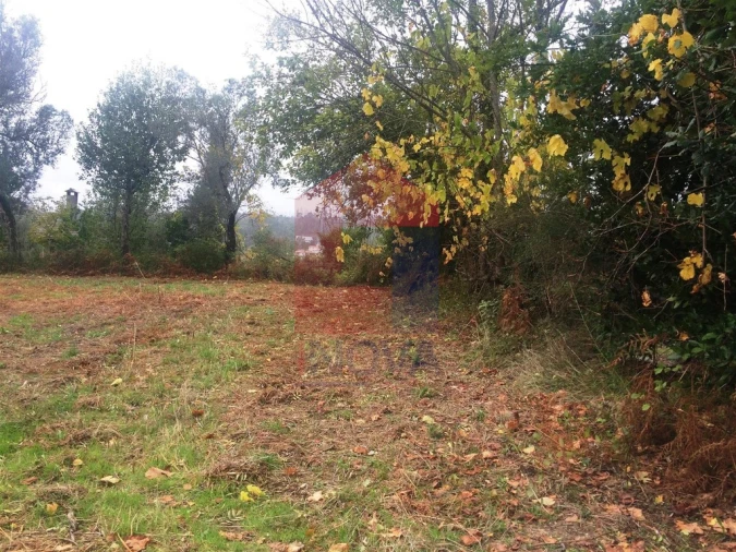 Terreno para Venda em Pico de Regalados, Gondiães e Mós Foto 2