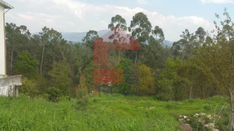 Terreno para Venda em Vila Verde e Barbudo