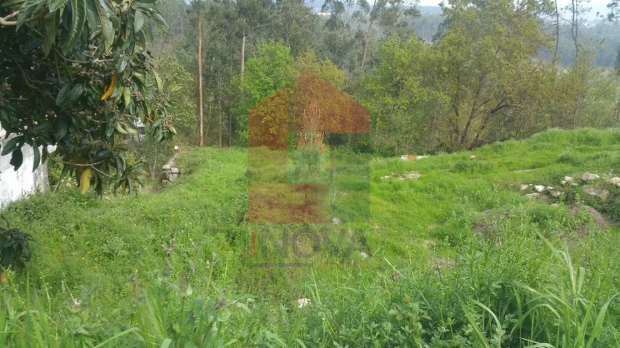 Terreno para Venda em Vila Verde e Barbudo Foto 2