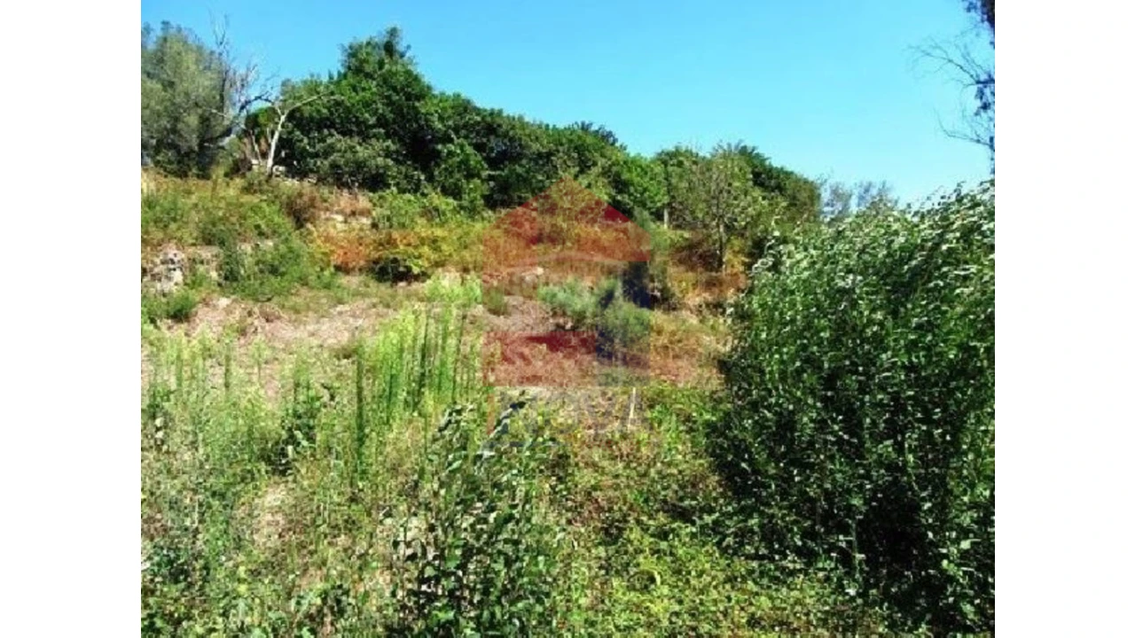 Terreno para Venda em Ponte Foto 3