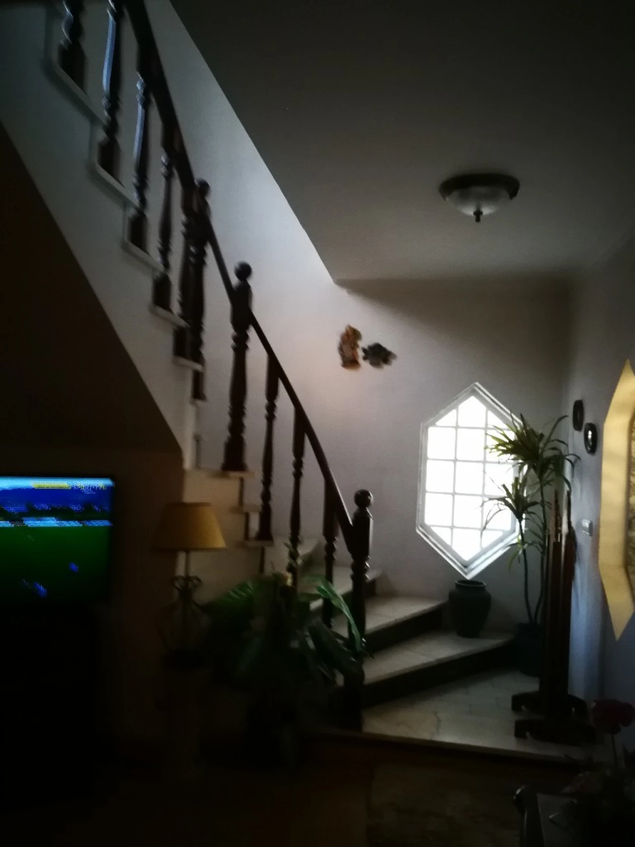 Moradia T4 para Venda em Corroios Foto 19