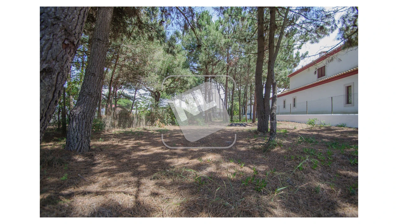 Terreno para Venda em Sesimbra (Santiago) Foto 5