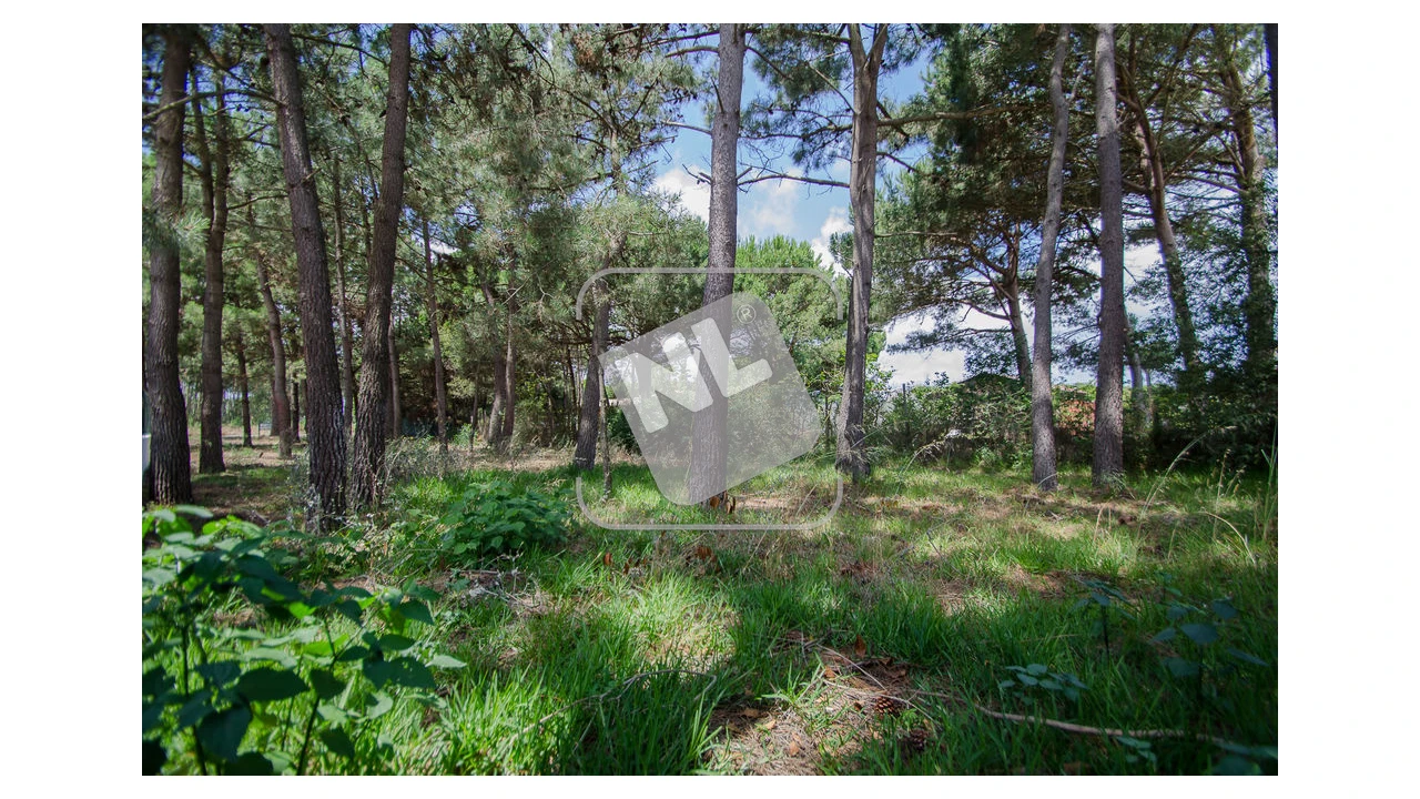 Terreno para Venda em Sesimbra (Santiago) Foto 7