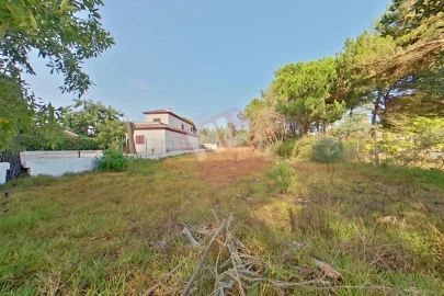 Terreno para Venda em Sesimbra (Santiago)