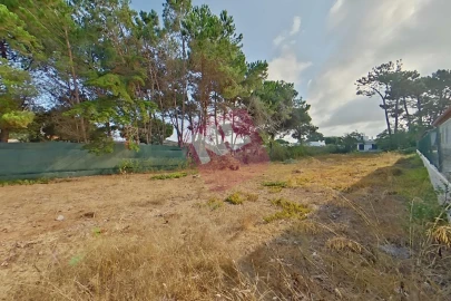 Terreno para Venda em Sesimbra (Santiago)