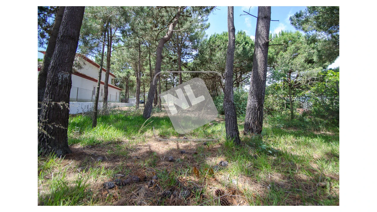 Terreno para Venda em Sesimbra (Santiago) Foto 6