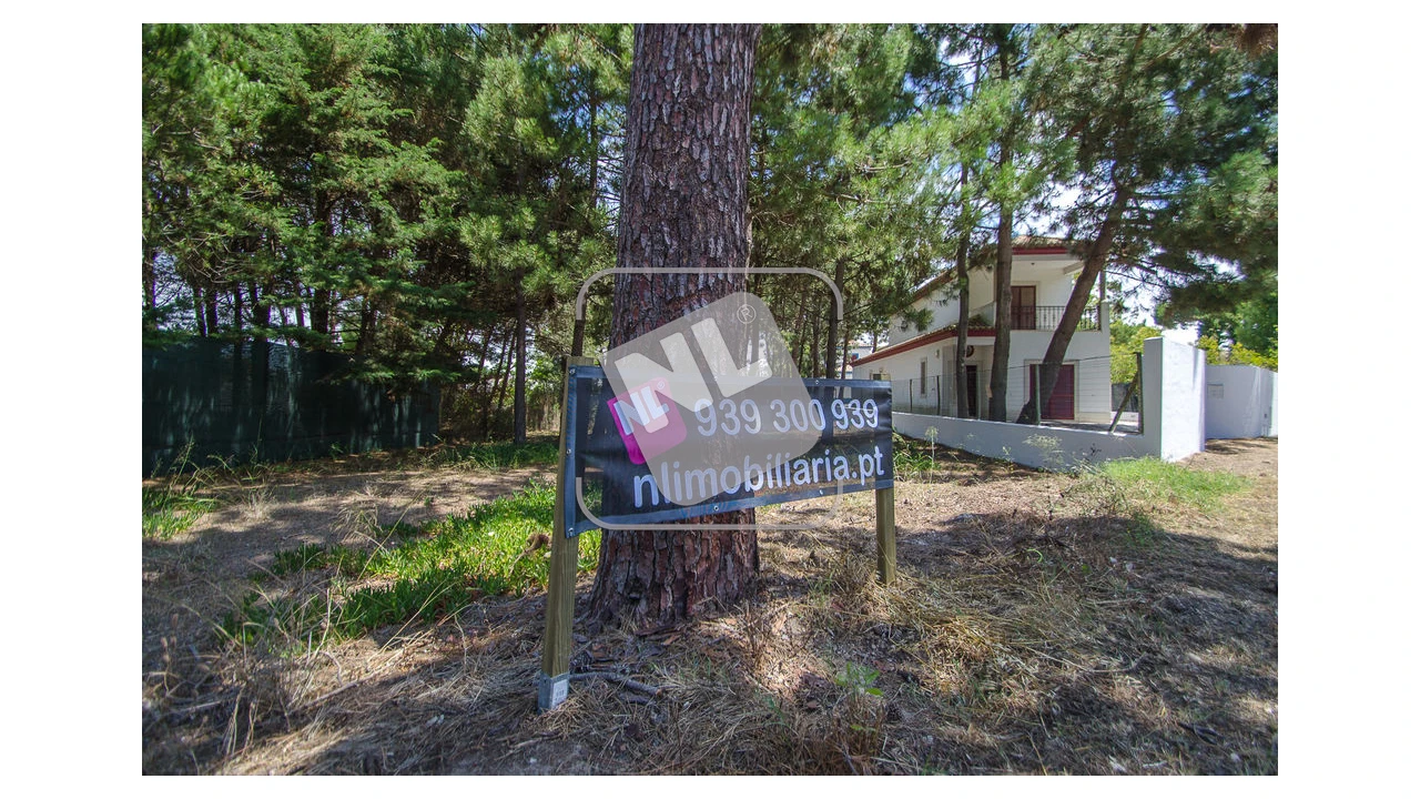 Terreno para Venda em Sesimbra (Santiago) Foto 4