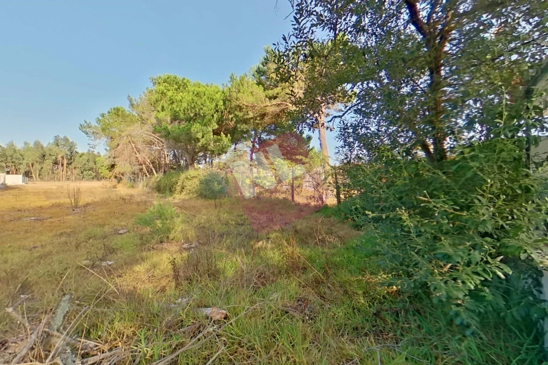 Terreno para Venda em Sesimbra (Santiago) Foto 23