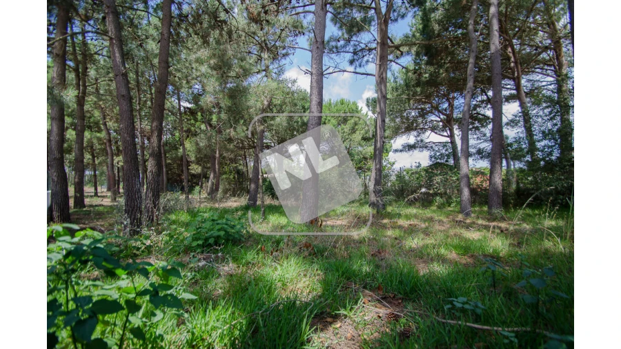 Terreno para Venda em Sesimbra (Santiago) Foto 7