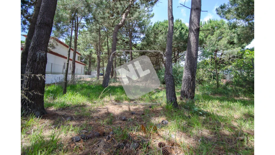 Terreno para Venda em Sesimbra (Santiago) Foto 6