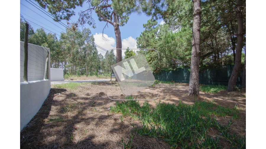 Terreno para Venda em Sesimbra (Santiago) Foto 9