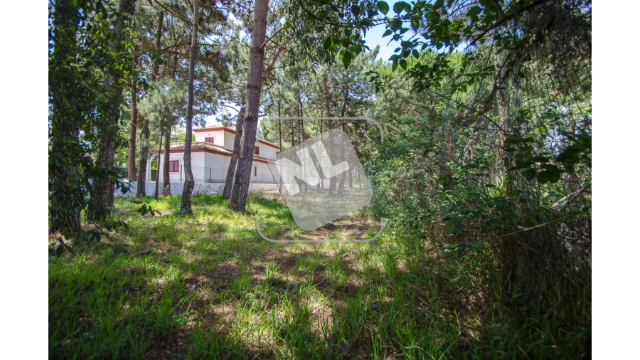 Terreno para Venda em Sesimbra (Santiago) Foto 8