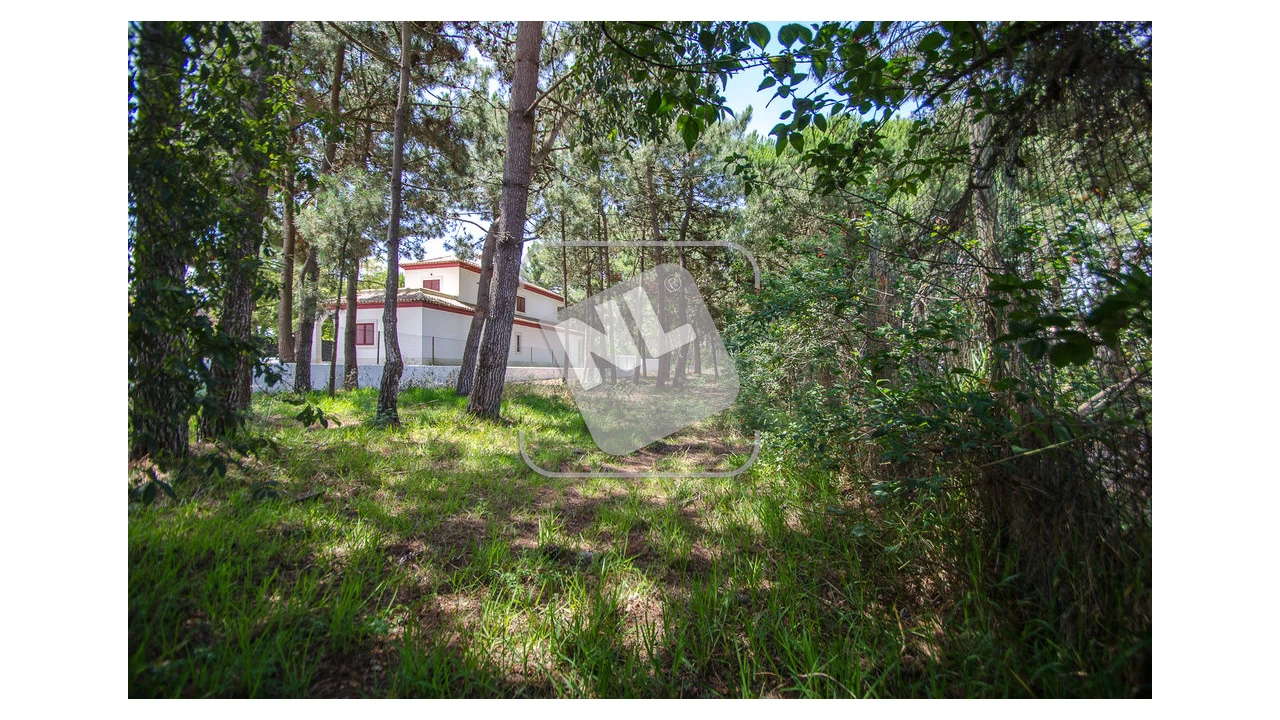 Terreno para Venda em Sesimbra (Santiago) Foto 8