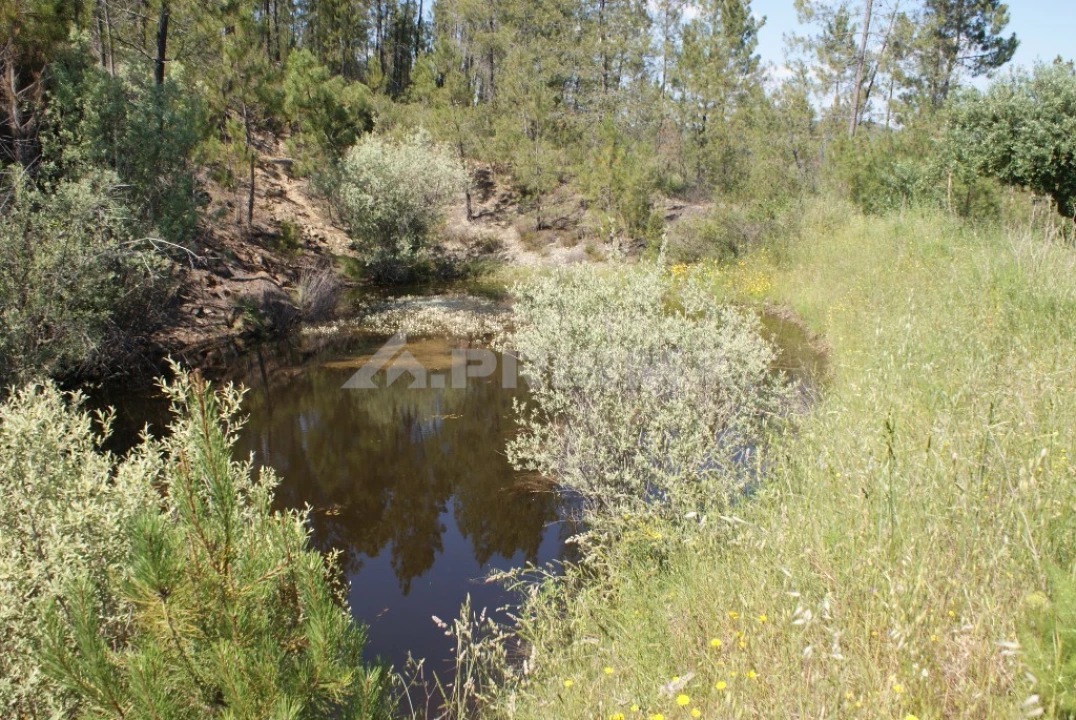 Terreno para Venda em Freixial e Juncal do Campo Foto 14