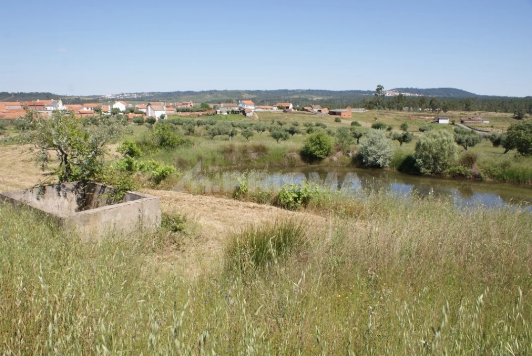 Terreno para Venda em Freixial e Juncal do Campo Foto 7