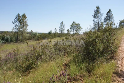 Terreno para Venda em Freixial e Juncal do Campo