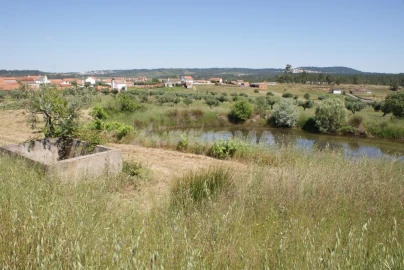 Terreno para Venda em Freixial e Juncal do Campo