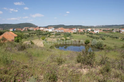Terreno para Venda em Freixial e Juncal do Campo