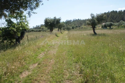 Terreno para Venda em Freixial e Juncal do Campo