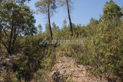 Terreno para Venda em Freixial e Juncal do Campo