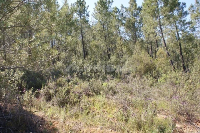 Terreno para Venda em Freixial e Juncal do Campo