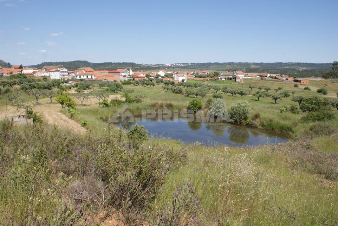Terreno para Venda em Freixial e Juncal do Campo Foto 10