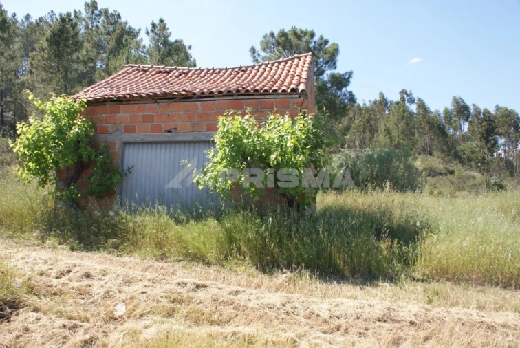 Terreno para Venda em Freixial e Juncal do Campo Foto 3