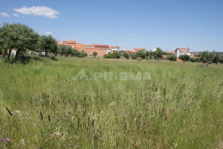 Terreno para Venda em Freixial e Juncal do Campo Foto 5