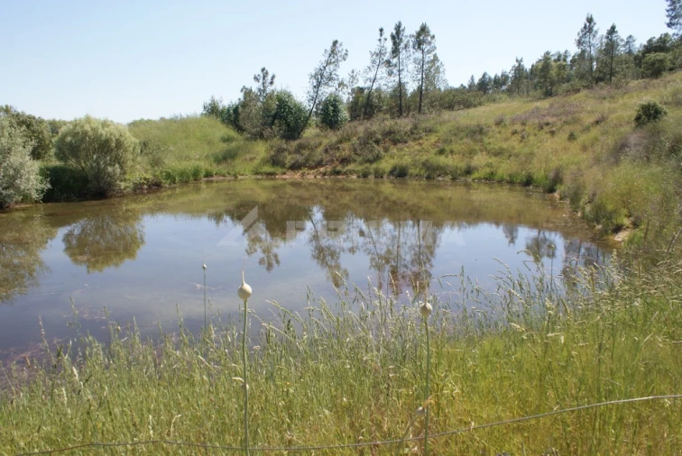 Terreno para Venda em Freixial e Juncal do Campo