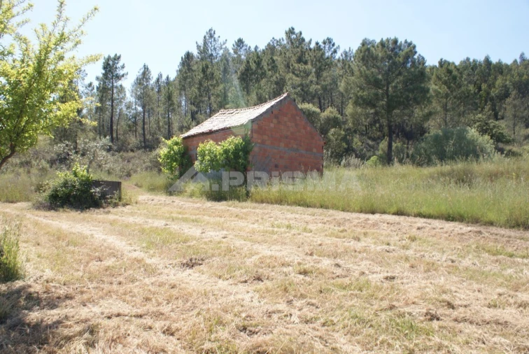 Terreno para Venda em Freixial e Juncal do Campo Foto 2