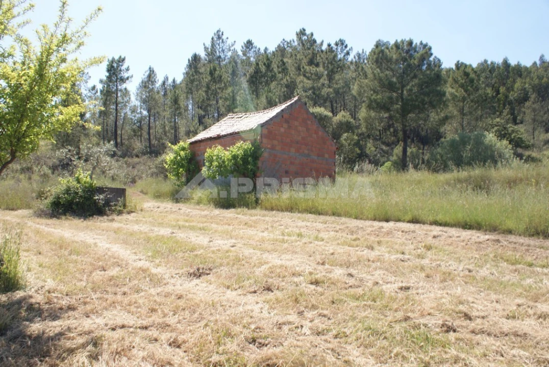 Terreno para Venda em Freixial e Juncal do Campo Foto 2