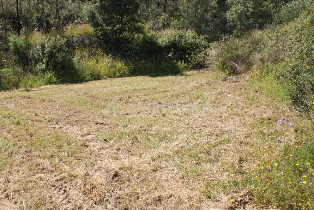 Terreno para Venda em Freixial e Juncal do Campo Foto 12