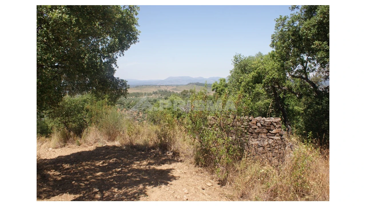 Terreno para Venda em Freixial e Juncal do Campo Foto 9