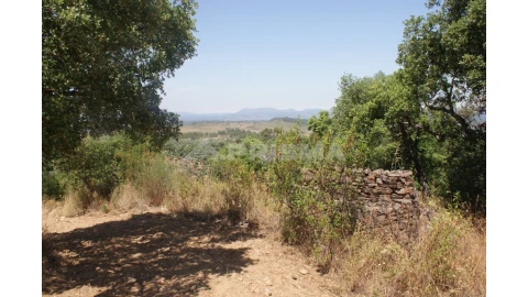Terreno para Venda em Freixial e Juncal do Campo