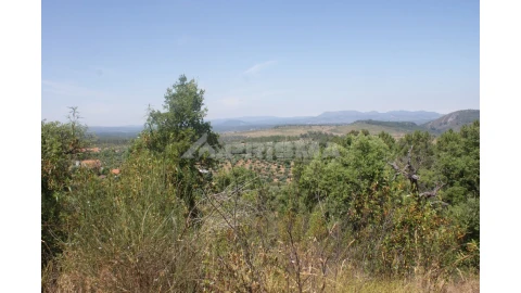 Terreno para Venda em Freixial e Juncal do Campo