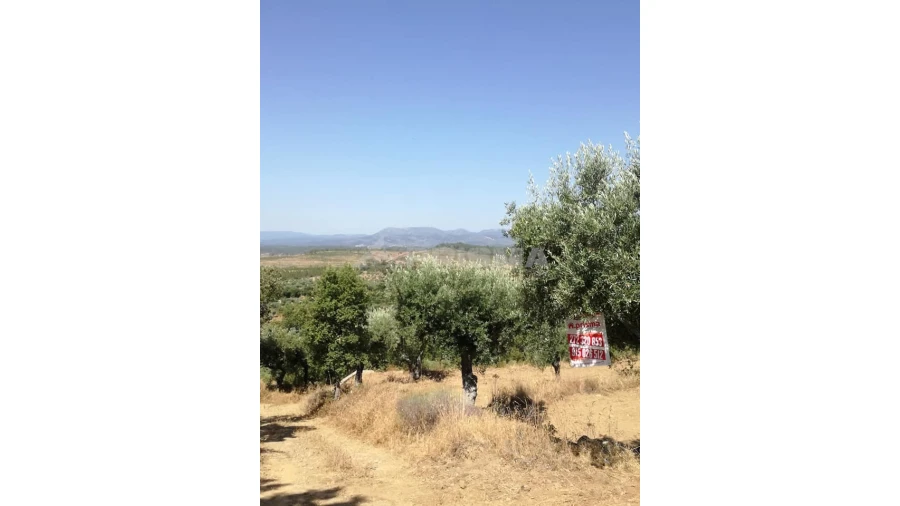 Terreno para Venda em Freixial e Juncal do Campo
