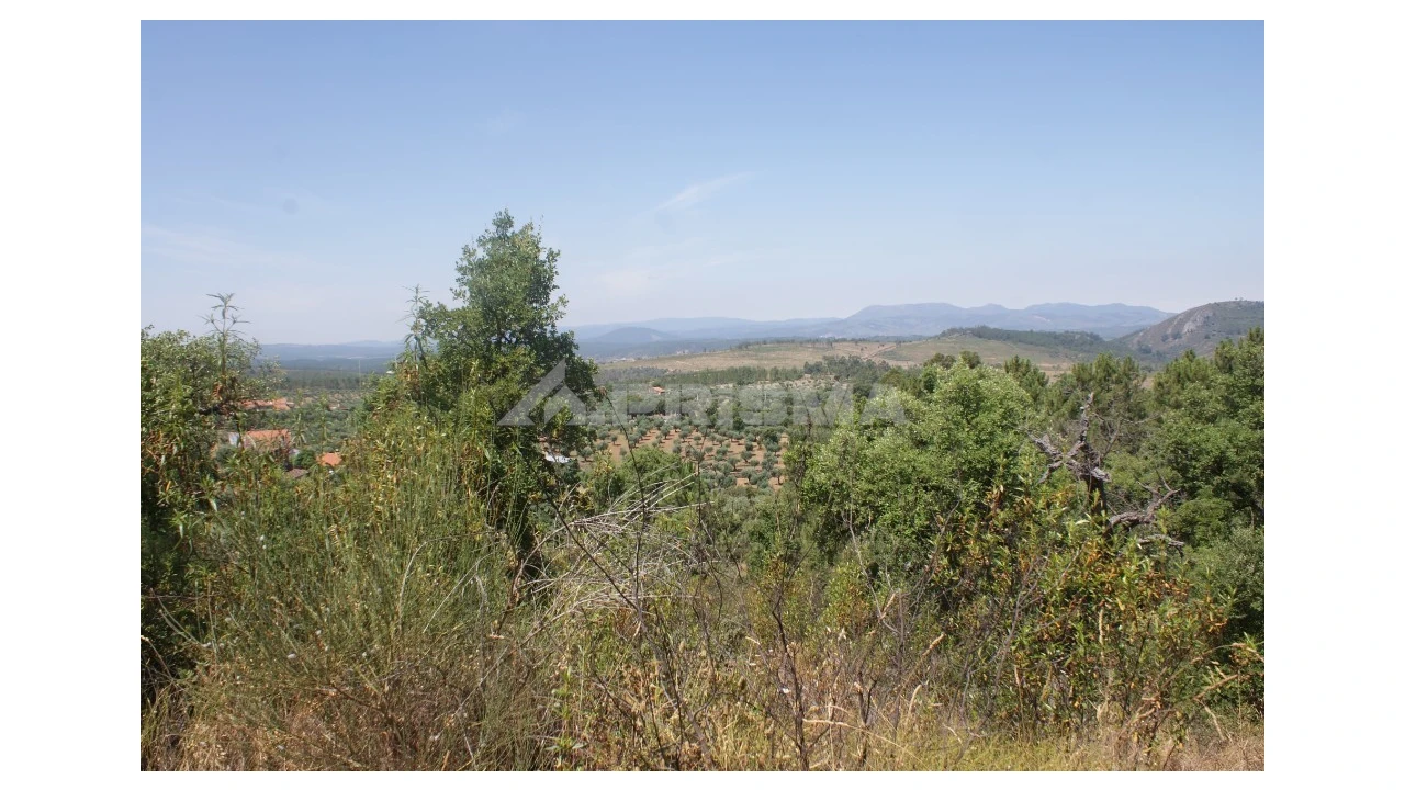 Terreno para Venda em Freixial e Juncal do Campo Foto 12