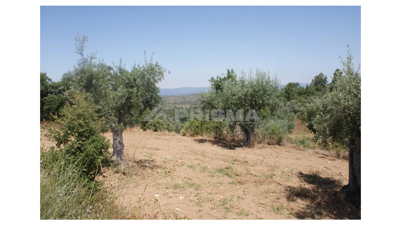 Terreno para Venda em Freixial e Juncal do Campo Foto 4