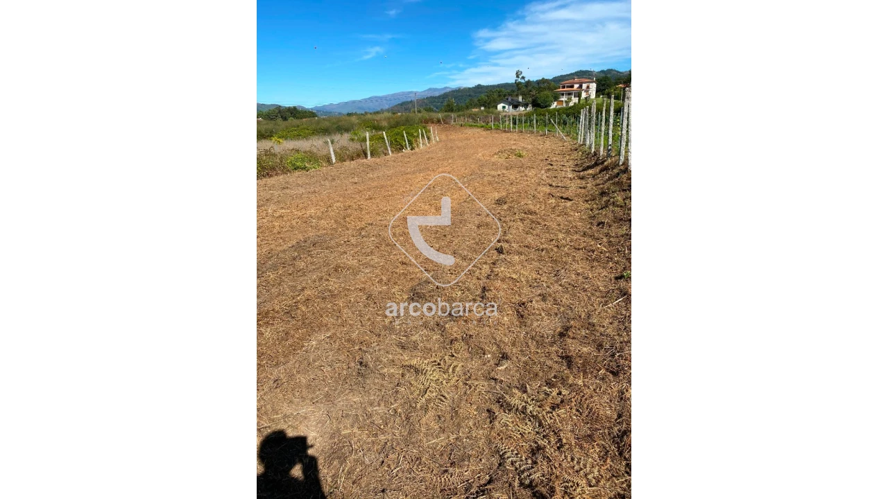 Terreno para Venda em Oleiros Foto 1