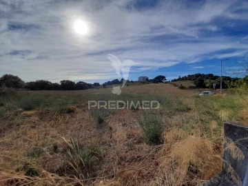 Terreno para Venda em Romeira e Várzea